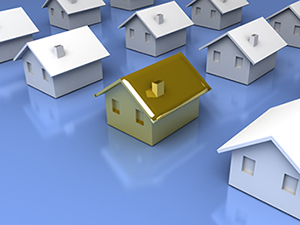 Houses_one gold