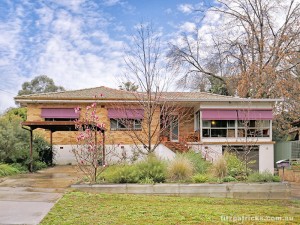 waratah_front_12