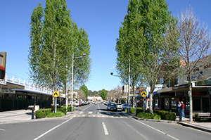 central_300px