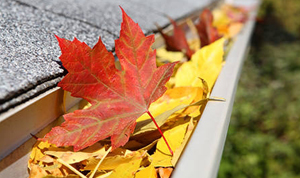 leaves_gutter