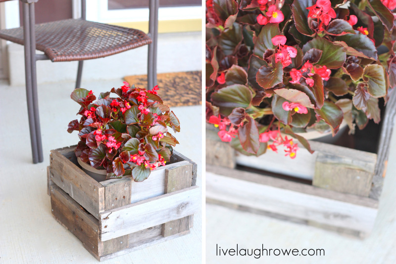 pallet planter