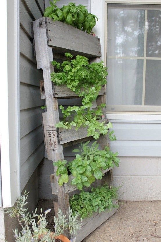pallet veggie stand